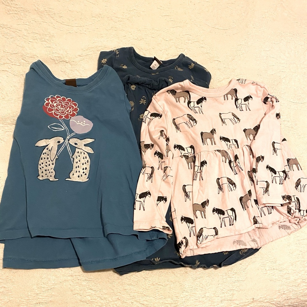 Tea Collection Bundle Lot